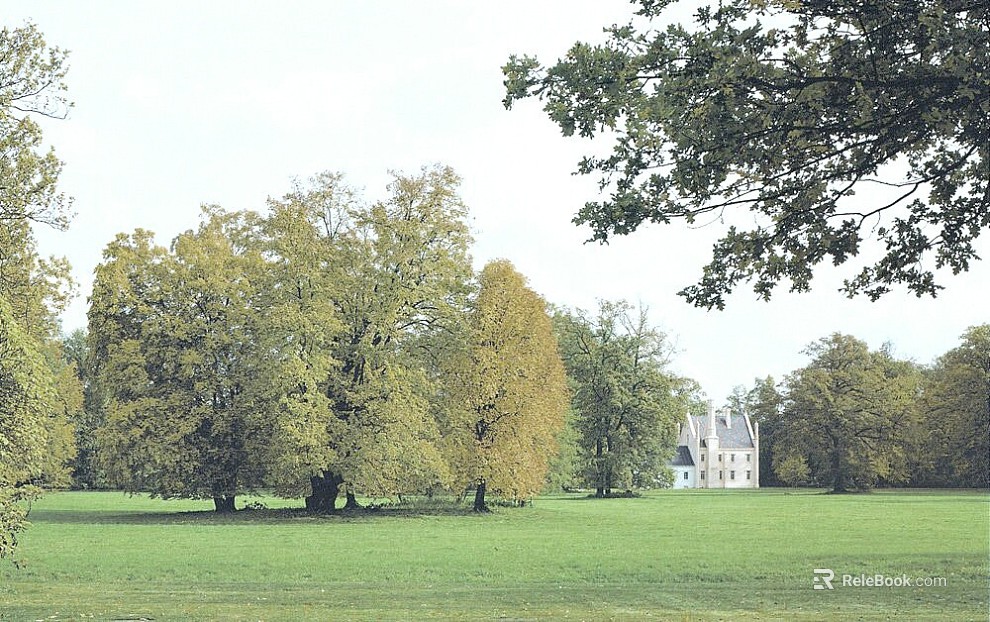 Park Exterior texture