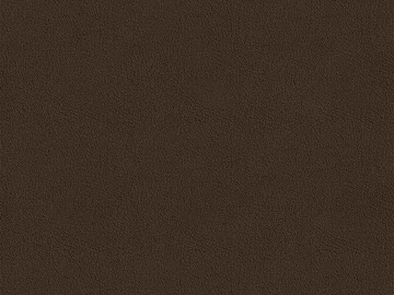 fine grain leather texture (ID:ffaeg06533)
