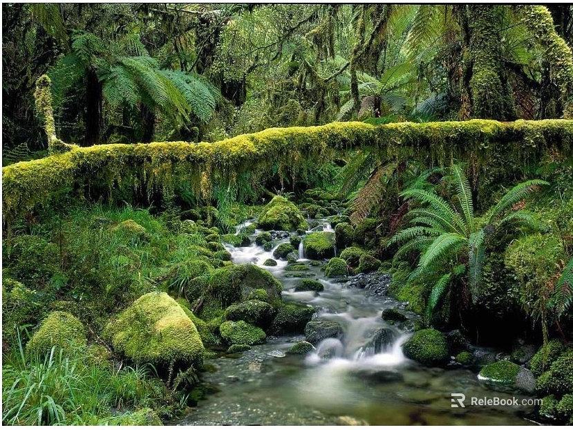 Wild Scenery texture