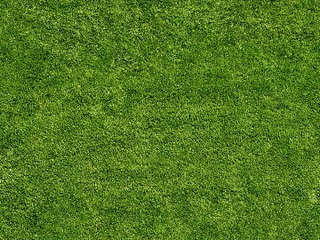Turf 3d model