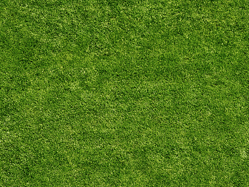 Turf texture (ID:ffagg50184)