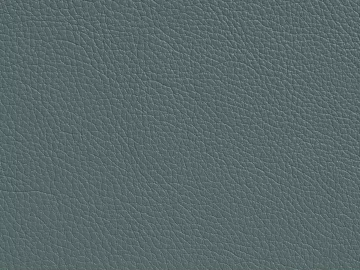 Coarse-grain leather 3d model