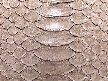 animal skin 3d model