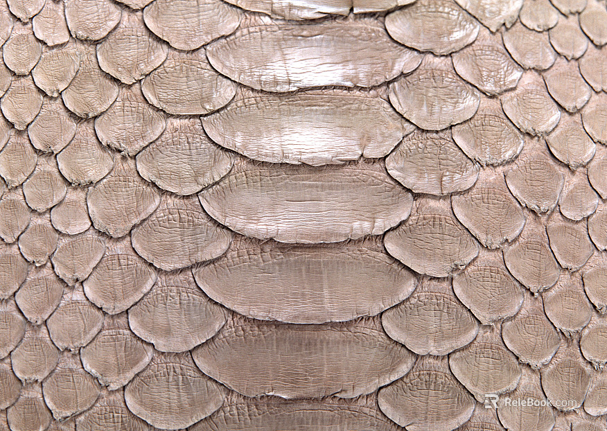 animal skin texture