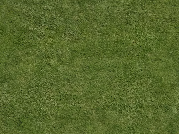 Turf texture (ID:ffacg31807)