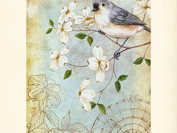 flower-and-bird painting 3d model