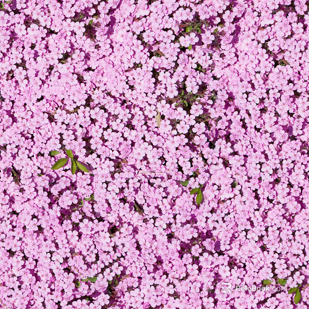 shrub flowers bushes texture
