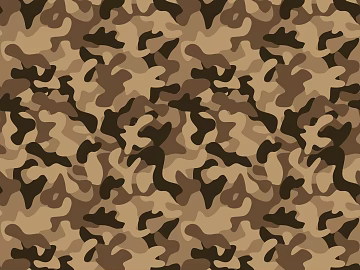 camouflage soil brown texture (ID:ffach808728)