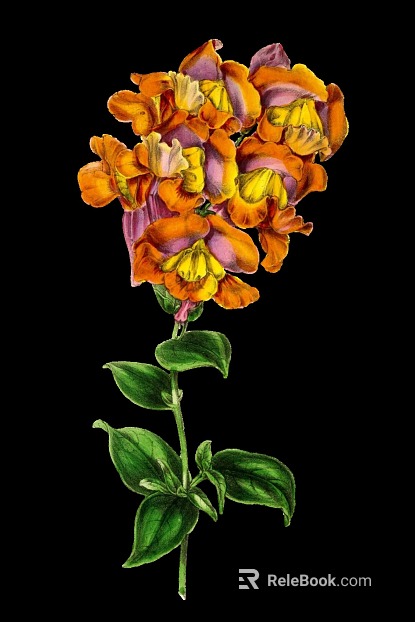 plant pattern texture