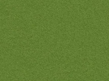 green grass 3d model