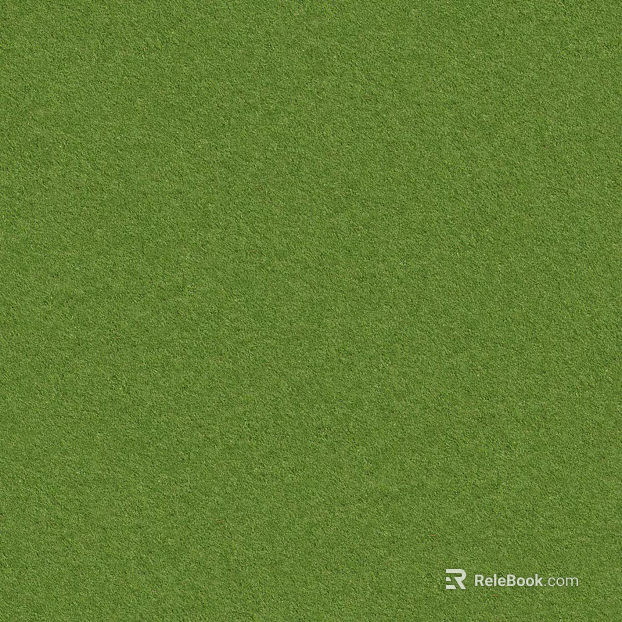 green grass texture