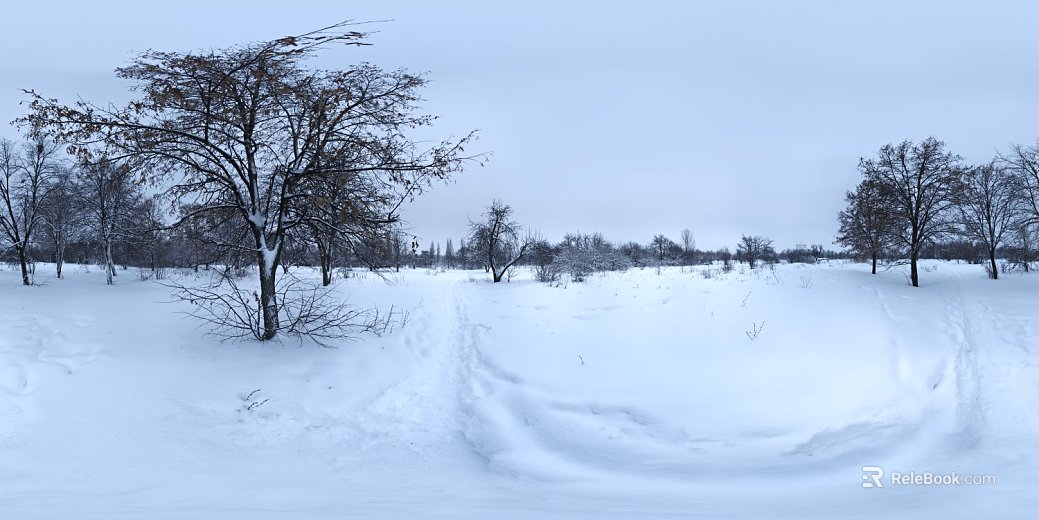 Snow texture