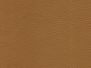 Coarse-grain leather texture (ID:ffaeg28118)