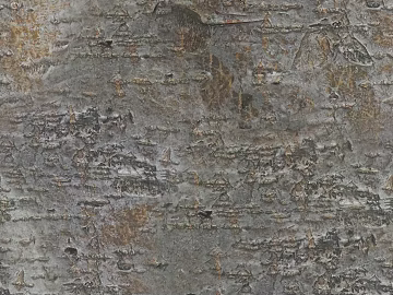 bark texture (ID:ffajg85363)