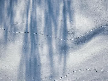 Snow 3d model