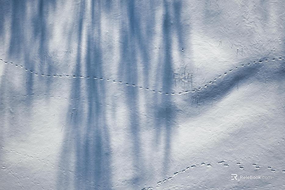 Snow texture