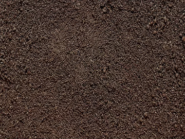 Mud texture (ID:ffach908416)