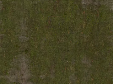 Moss texture outdoor ground (ID:ffaeh921566)