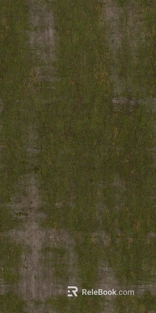 Moss texture outdoor ground texture