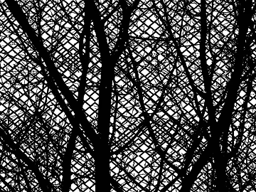 black and white tree shadow texture (ID:ffaag47686)