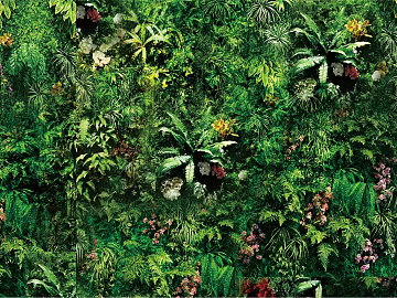 Plant wall texture (ID:ffaag83205)