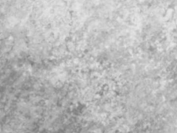 Light gray cement, suitable for both walls and floors. texture (ID:ffaeh175484)