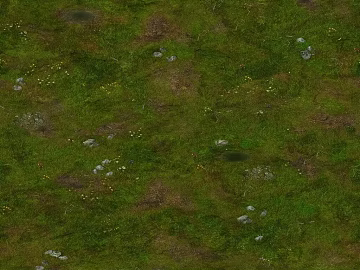 turf green outdoor ground texture (ID:ffaeh615439)