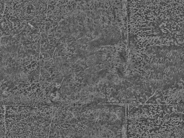 Black and White Bump texture (ID:ffacg11501)