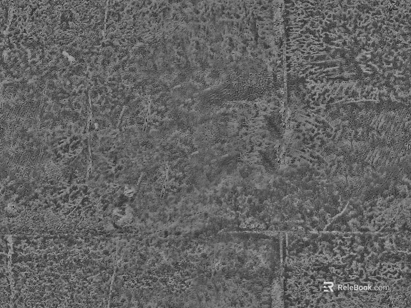 Black and White Bump texture
