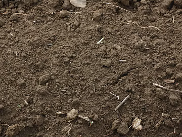 Mud texture (ID:ffajg00716)