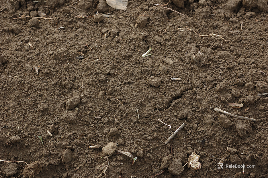 Mud texture