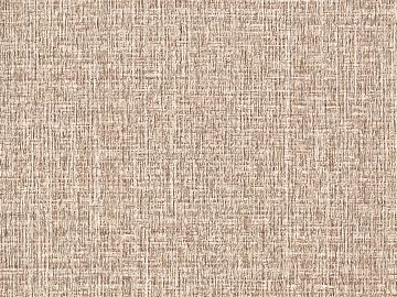 Cloth 3d model
