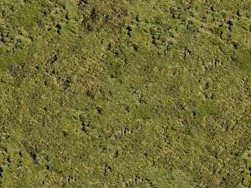 Turf ground texture (ID:ffabf4891)
