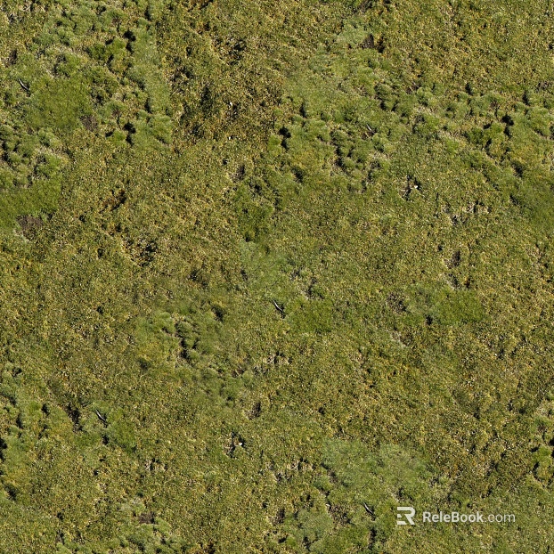 Turf ground texture