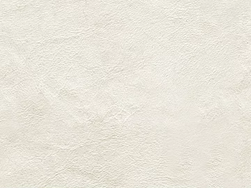 fine grain leather 3d model