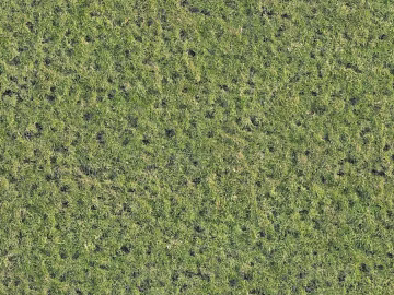 Turf ground texture (ID:ffaaf7616)