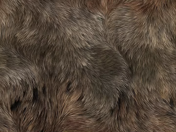 animal fur texture (ID:ffacg35524)