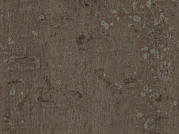bark texture (ID:ffaag97423)