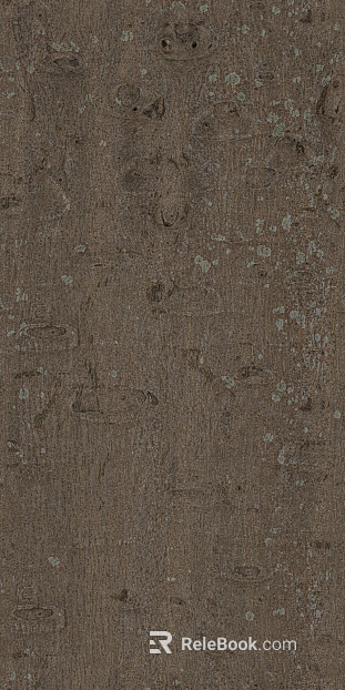 bark texture