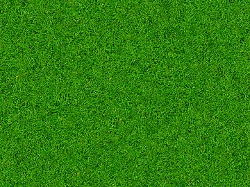 Outdoor lawn texture (ID:ffach248706)