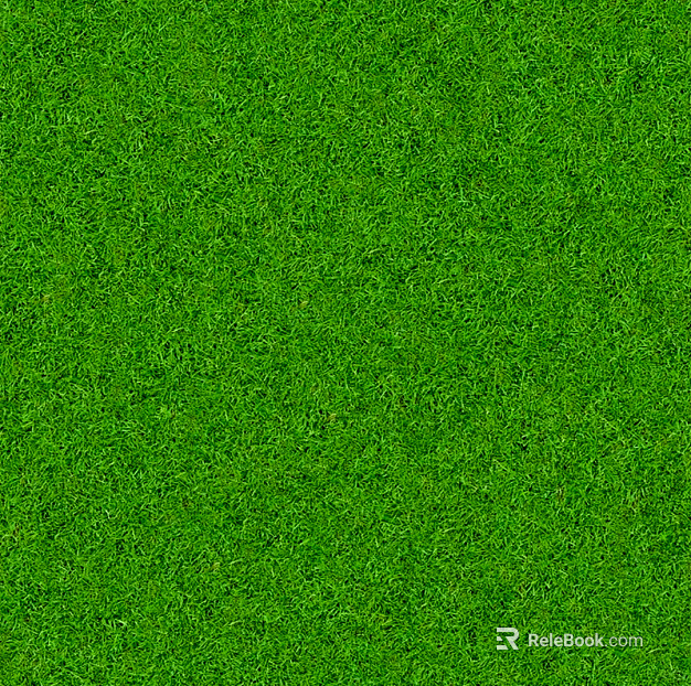 Outdoor lawn texture