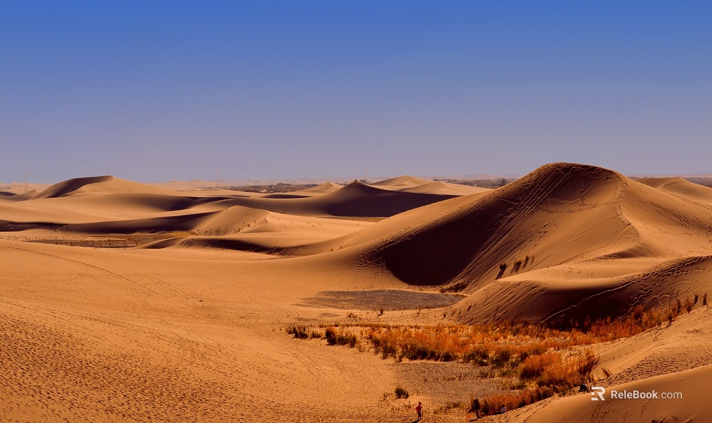 Wild Scenery texture