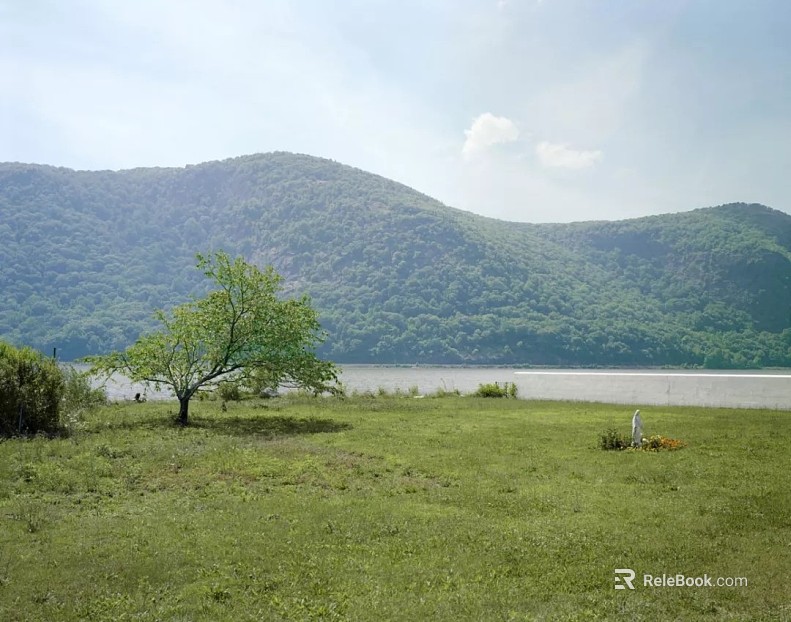 Wild Scenery texture