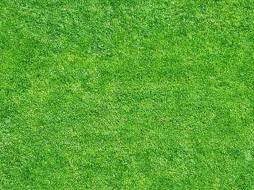Turf texture (ID:ffagg43398)