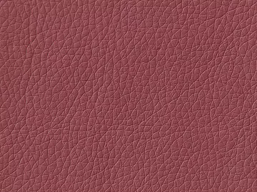 Coarse-grain leather texture (ID:ffajg91855)