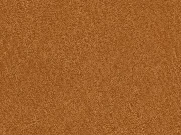 fine grain leather texture (ID:ffagg60759)