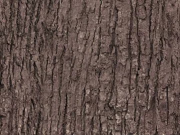 bark texture (ID:ffabg47554)