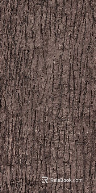 bark texture