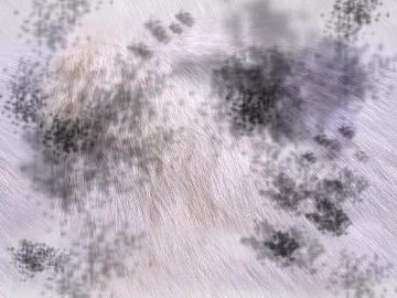 animal skin texture (ID:ffacg52219)