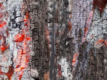Charcoal roasted mahogany texture (ID:ffacg89341)